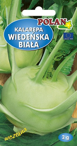 kalarepa wiedenska biala-2g.jpg