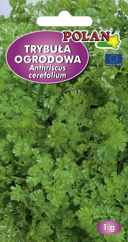 trybula ogrodowa.jpg
