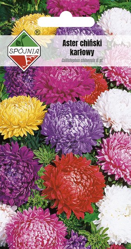 aster karl mix-SN-4-08-138020.jpg