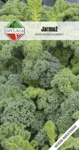 Jarmuż Halbhoher gruner krauser 2 g