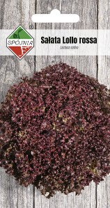 Sałata liściowa Lollo rossa 0,5 g