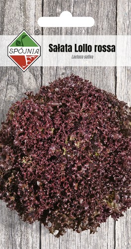 salata Lollo Rossa SN-202-08-150529.jpg