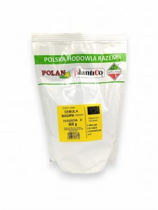 Cebula Allium cepa Niagara - mieszaniec 500g.