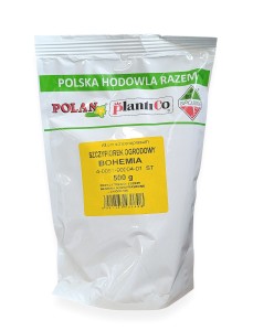 Szczypiorek ogrodowy Allium schoenoprasum Bohemia 500g.