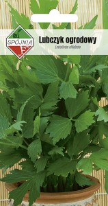 Lubczyk ogrodowy 1g