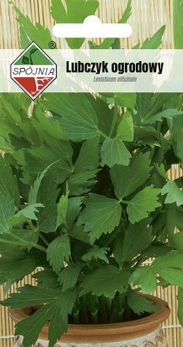 lubczyk ogrodowy-SN-136-08-138093.jpg