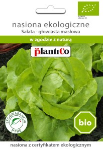 Sałata masłowa BIO 0,5g.
