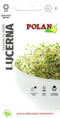 lucerna kik.jpg