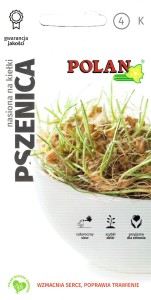 Nasiona na kiełki Pszenica 25 g