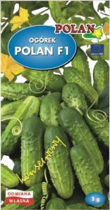 Ogórek gruntowy Polan - mieszaniec 3g.