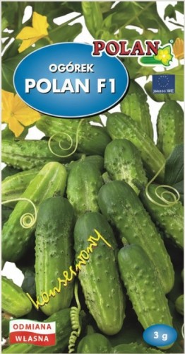 Ogórek Polan F1 3G PNG .jpg
