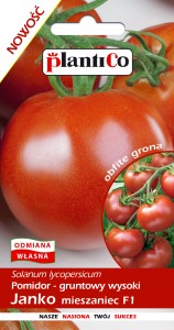 Pomidor gruntowy Janko - mieszaniec 10g.