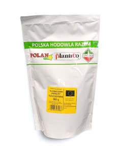 Szczypiorek ogrodowy Allium schoenoprasum Wulkan 500g.
