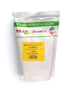 Szczypiorek ogrodowy Allium schoenoprasum Jowisz 500g.