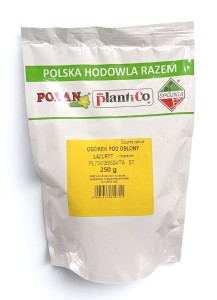Ogórek pod osłony Lazuryt - mieszaniec 250g.