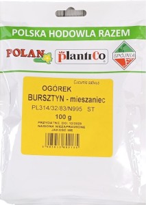 Ogórek konserwowy - pod osłony Bursztyn - mieszaniec 100g