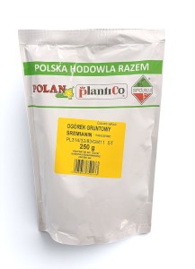 Ogórek gruntowy Śremianin - mieszaniec 250g.