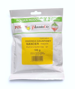 Ogórek gruntowy Sander - mieszaniec 100g.
