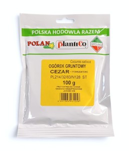 Ogórek gruntowy Cezar - mieszaniec 100g.