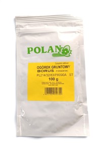 Ogórek gruntowy Borus - mieszaniec 100g.