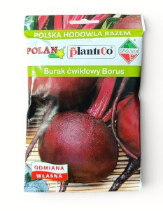 Burak ćwikłowy Borus 50g.