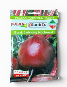 Burak ćwikłowy Nochowski 50G.