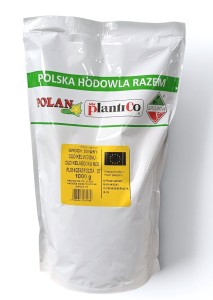 Groch siewny łuskowy Cud Kelvedonu - Cud Kelvedonu NOE 1000g.