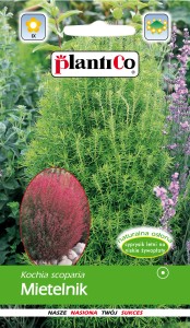 Mietelnik/Kochia 2g.