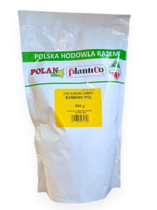 Dynia olbrzymia Bambino - Bambino POL 500g.