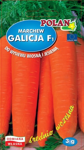 Marchew jadalna Galicja - mieszaniec