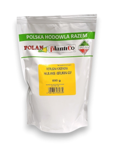 Pietruszka korzeniowa Halblange 500g.