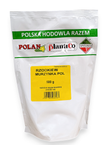 Rzodkiew Murzynka POL 500 g