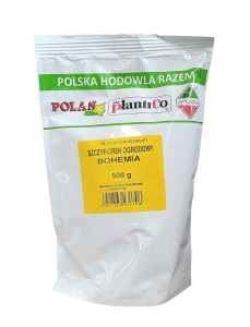 Szczypiorek ogrodowy Allium schoenoprasum Bohemia 500g.