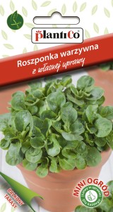 Roszponka warzywna D'Olanda a Seme Grosso 0,5g