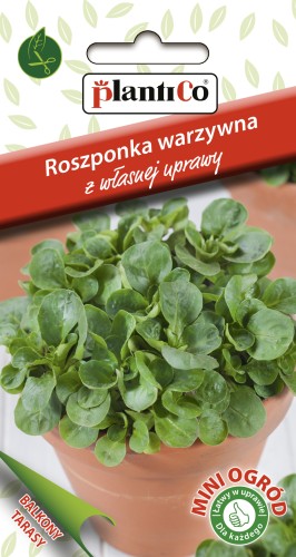 Roszponka warzywna-2026-ZIEL-895-16-MO copy.jpg