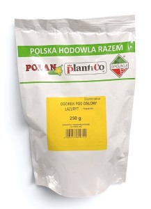 Ogórek pod osłony Lazuryt - mieszaniec 250g.