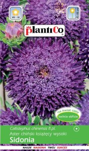 Aster chiński książęcy SIDONIA fioletowy 1g.