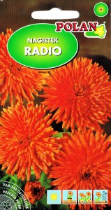Nagietek lek. wysoki Radio 3g.