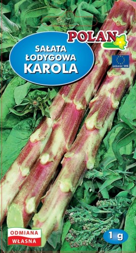 Sałata łodygowa Karola