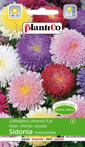 Aster chiński książęcy SIDONIA mix 1g.