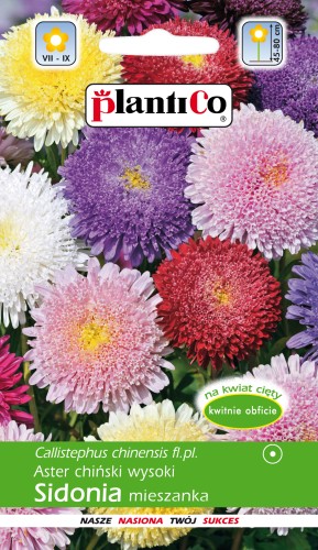 Aster chiński książęcy SIDONIA mix