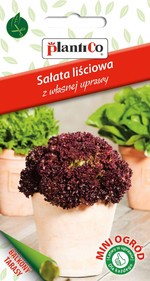Sałata liściowa Lollo rossa Mini Ogród 0,5g.