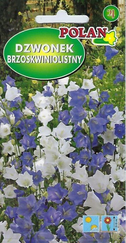 Dzwonek brzoskwiniolistny mieszany