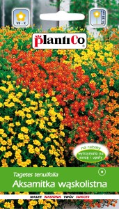 Aksamitka wąskolistna MIX 0,5g