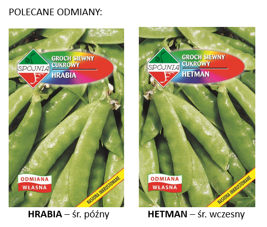 polecane odmiany
