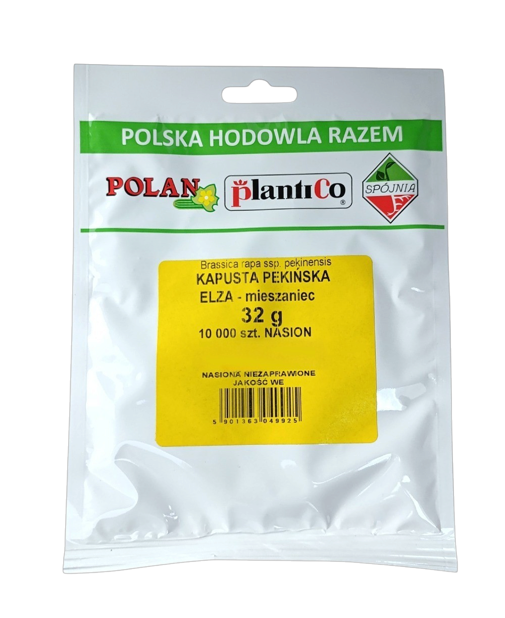 Kapusta pekińska Elza - mieszaniec 32 g