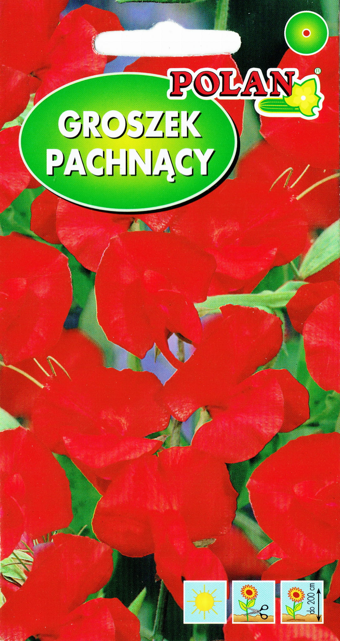 Groszek pachnący czerwony 3g