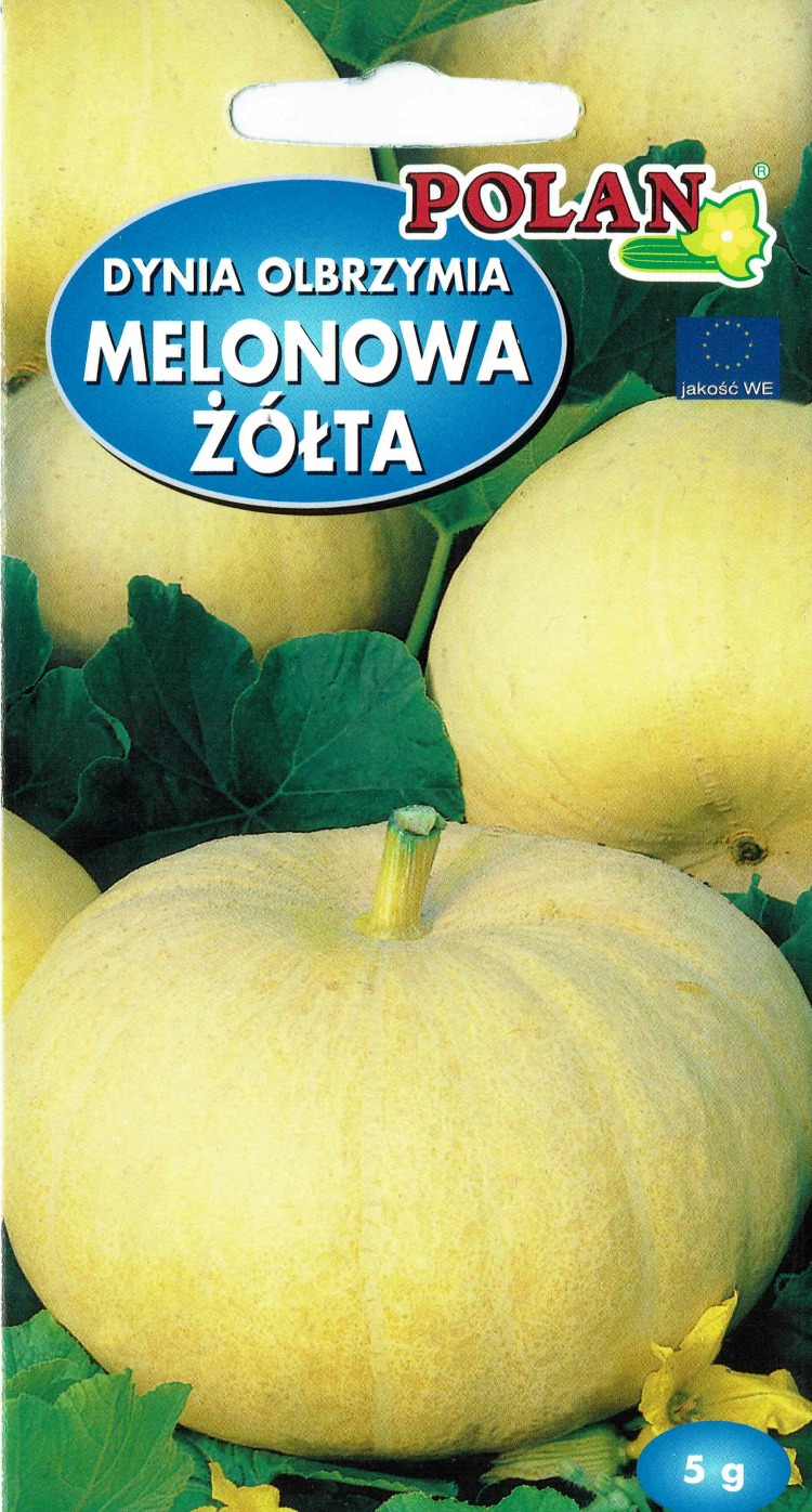 Dynia olbrzymia Melonowa Żółta 5 g