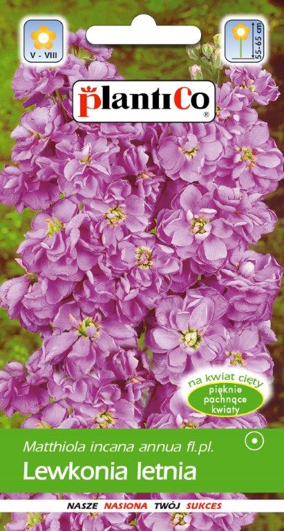 Lewkonia letnia Juka - Exc. 100% 0,5 g