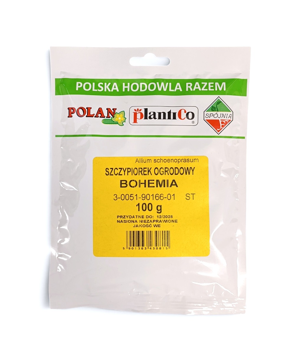 Szczypiorek ogrodowy Allium schoenoprasum Bohemia 100g.